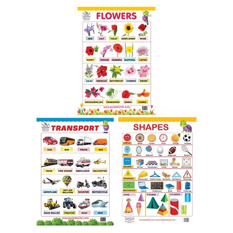 Flowers, Shapes, and Transport Charts for kids – PurpleTurtle Store