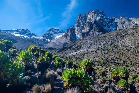 Glorious solitude on Mt Kenya - Lonely Planet