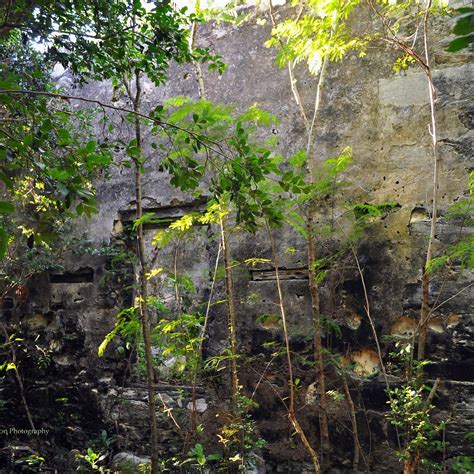FORTUNE HILL PLANTATION (2026) All You Need to Know BEFORE You Go (with ...
