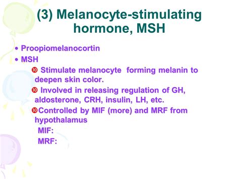 Melanocyte Stimulating Hormone Msh