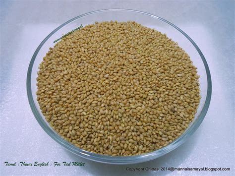 Foxtail Millet In Tamil