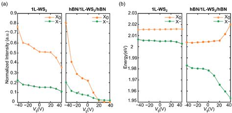 Enhanced Field-Effect Control of Single-Layer WS2 Optical Features by ...