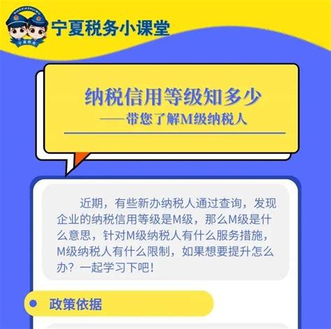 宁夏新电子税务局增值税一般纳税人申报操作指引_搜狐汽车_搜狐网