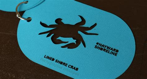 Hayward Regional Shoreline Adaptation Master Plan - SCAPE