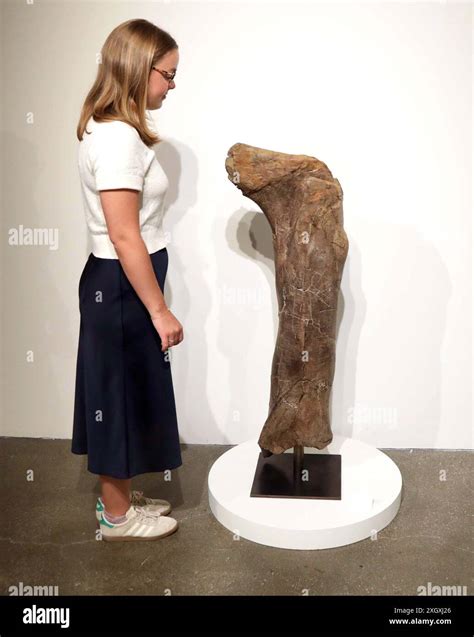 July 10, 2024, New York, New York, USA: A 5 foot 5 inch woman stands next to an adult ...
