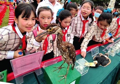 “爱鸟周”活动启动 呼吁大家关爱野生动植物——人民政协网