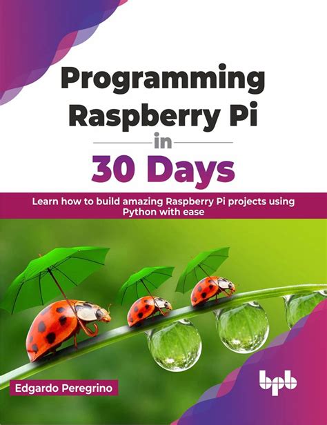 Raspberry Pi 4 Programming 的图像结果