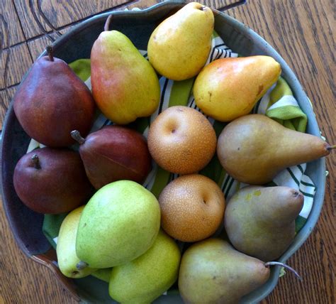 Types Of Pears