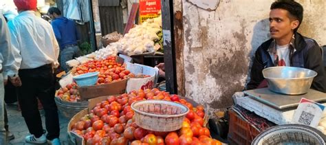 Tomatoes out of commoners' reach in India; selling at over Rs 100