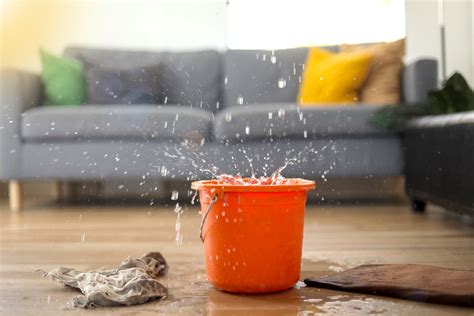 Denver Water Damage: 5 Causes for Hardwood Floors in 2025