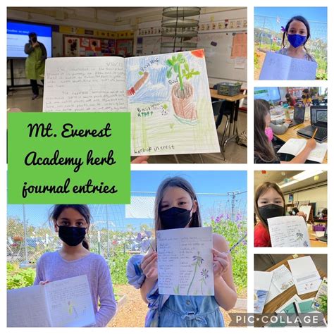 Herb Society of America Grants and Scholarships