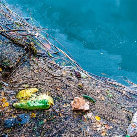 Point Source Pollution 的图像结果