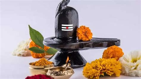 Neel Sashthi Vastu Eating Tips: আজ নীলষষ্ঠী! সন্তানের মঙ্গল কামনায় ...