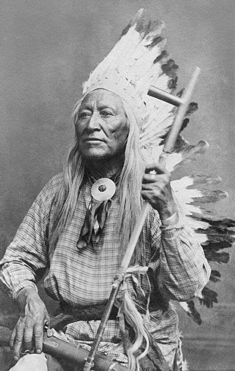 Shoshone Native American Tribe Facts: History Culture Traditions