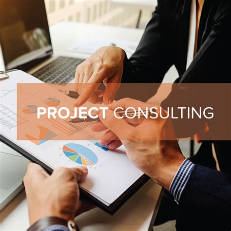 Project Consulting Services | VEMC - Expert Project Management