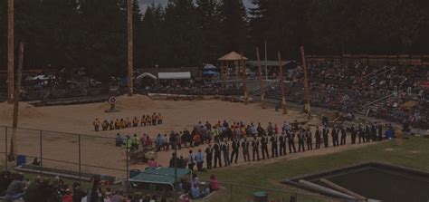 Image result for Logging Shows