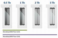 flow cell illumina novaseq illumina genetica flow cell illumina novaseq illumina genetica