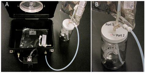 Assessment of the Portable C-320 Electronic Nose for Discrimination of ...