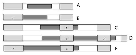 Image result for Deletion Algorithm