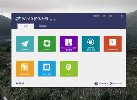 Win10优化大师软件截图 - 软媒Windows10优化大师软件界面