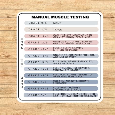 Manual Muscle Testing Chart Printable | FREE Printable