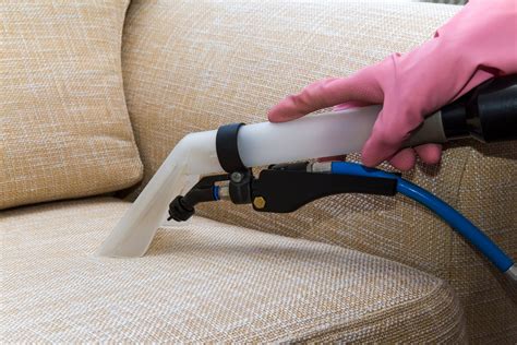 Best Upholstery Fabric Cleaner For Sofa | Baci Living Room