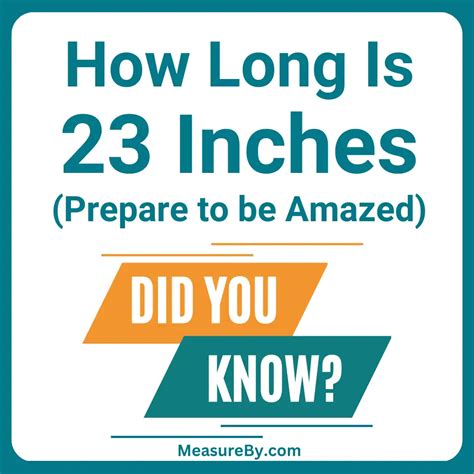 How Long or Big Is 23 Inches? (with 10+ Examples)