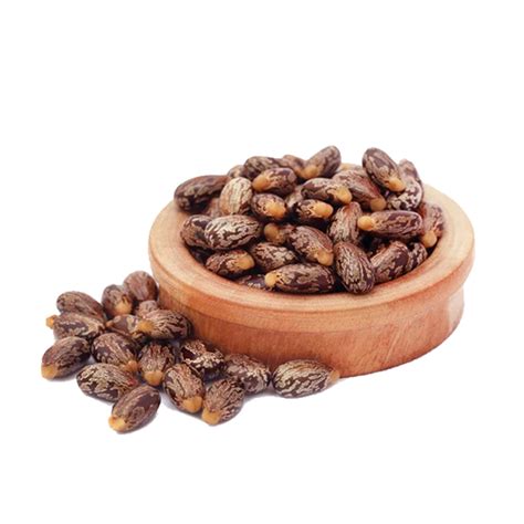 Buy Pure Organic Cold Pressed Jamaican Black Castor Oil Online in India ...