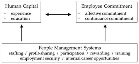 The Role of Human Resource Management (HRM) for the Implementation of ...