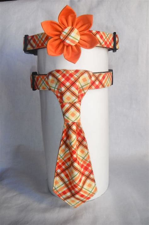 Necktie Tutorial 的图像结果