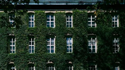 Is The New York Times' newsroom just a bunch of Ivy Leaguers? (Kinda ...