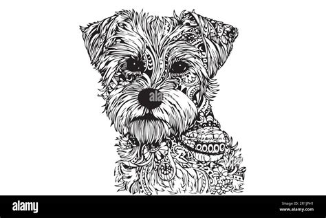 Complex Line Graph 的图像结果