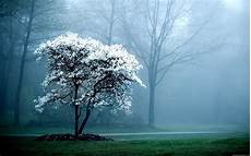 Free Wallpaper For Desktop Background by Hd Desktop Wallpaper Free Pixelstalk Net Free Wallpaper For Desktop Background