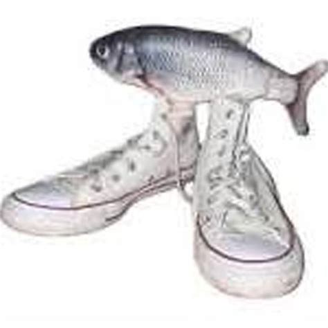 Image result for Beatboxing Cod Fish