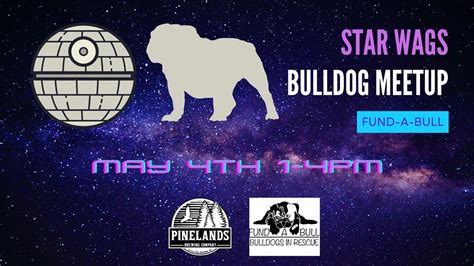 May the 4th Be with You - Star WAGS, 140 7th Ave #15, Little Egg Harbor ...