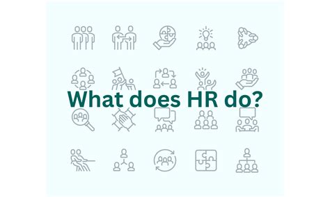 What Does HR do and How Can it Support Your Business?