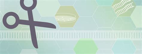 CRISPR Kit for Humans 的图像结果