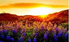 Summer Landscape Wallpapers For Computer by Summer Sunset Landscape Wallpaper Wallpapers9 Summer Landscape Wallpapers For Computer