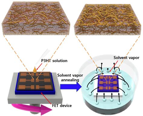 Effects of Solvent Vapor Annealing on Morphology and Charge Transport ...