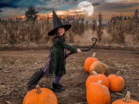 Prepare for Higher Education Before It Haunts You | WA GET / WA529