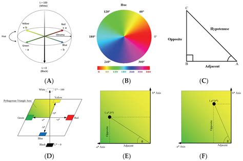 Image result for Colorimetric Analysis Principle