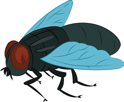 Flies Clipart