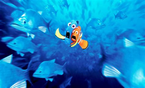 finding, Nemo, Animation, Underwater, Sea, Ocean, Tropical, Fish ...