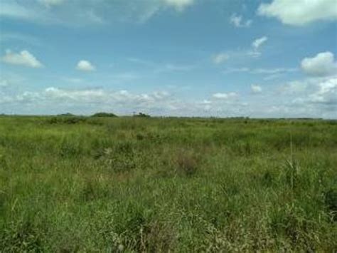 The Best Last Minute Hotels in Muanda 2025 - Tripadvisor