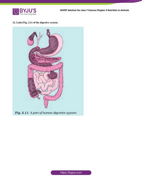 Image result for Class 7 Science Chapter Number 2 3