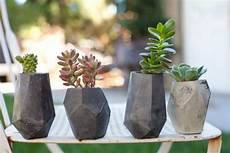 vasi per cactus geometric concrete succulent cacti planter by vasi per cactus geometric concrete succulent cacti planter by