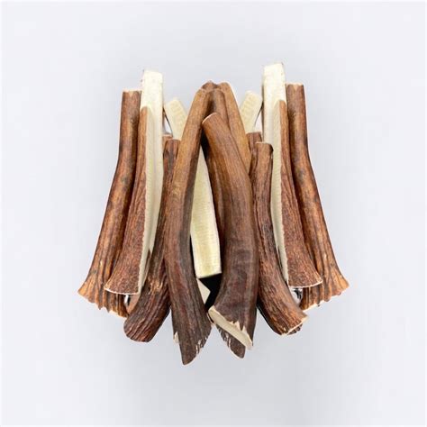Moose Antler Dog Chews That Last | Allagash Antlers – Allagash Antlers