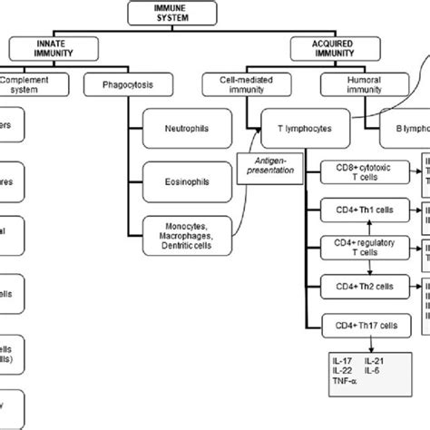 Immunity System 的图像结果