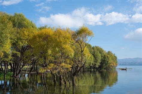 大理有什么好礼物最新素材