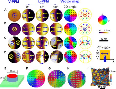 Pcambgfp Vector Map 的图像结果